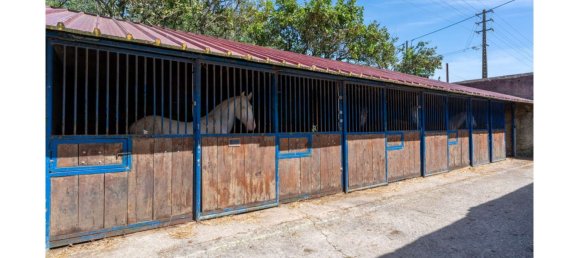 13 bedrooms Castles in Sintra, Portugal No. 120303 26
