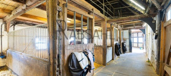 12غرفة مزرعة في Diepholz, Germany رقم 283354 44