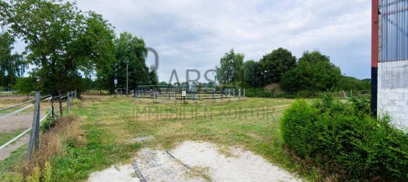 12غرفة مزرعة في Diepholz, Germany رقم 283354 2