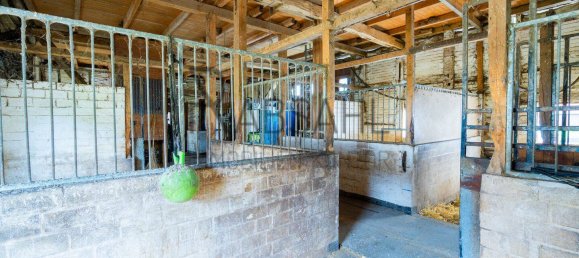 12غرفة مزرعة في Diepholz, Germany رقم 283354 40