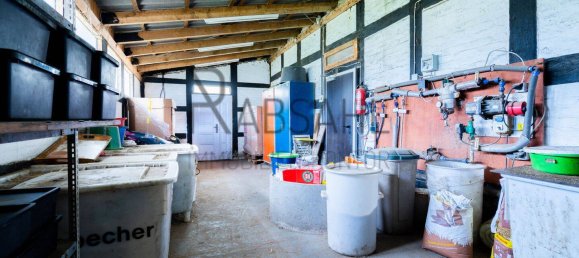 12غرفة مزرعة في Diepholz, Germany رقم 283354 39