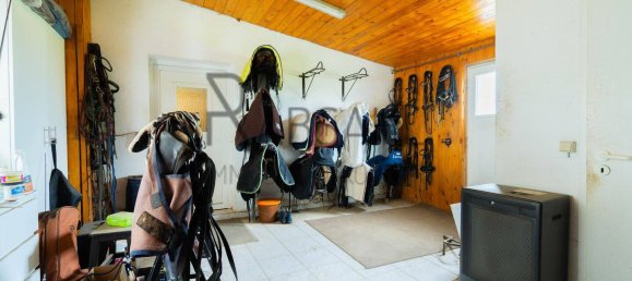 12غرفة مزرعة في Diepholz, Germany رقم 283354 38