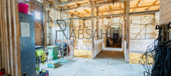 12غرفة مزرعة في Diepholz, Germany رقم 283354 41