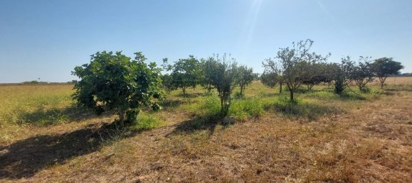 Lagerhaus in Lecce, Italy 3000m², Nr. 297017 20