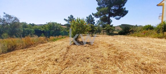 Дом с 4 спальнями в Томар, Португалия № 156519 49