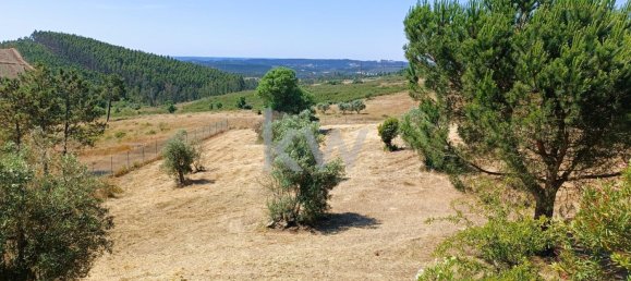 Дом с 4 спальнями в Томар, Португалия № 156519 45