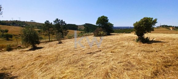 Дом с 4 спальнями в Томар, Португалия № 156519 8