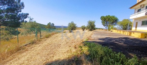 Дом с 4 спальнями в Томар, Португалия № 156519 3