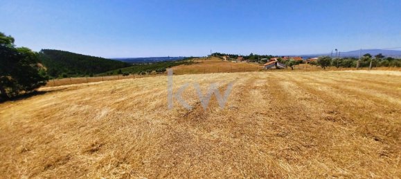 Дом с 4 спальнями в Томар, Португалия № 156519 30