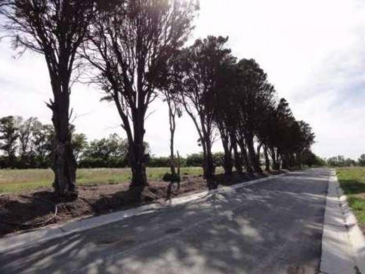 Grundstück in Pilar, Argentina, Nr. 44024