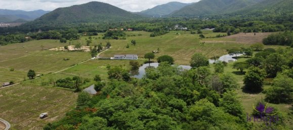  Land in Chiang Mai, Thailand No. 11456 4