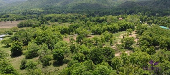  Land in Chiang Mai, Thailand No. 11456 3