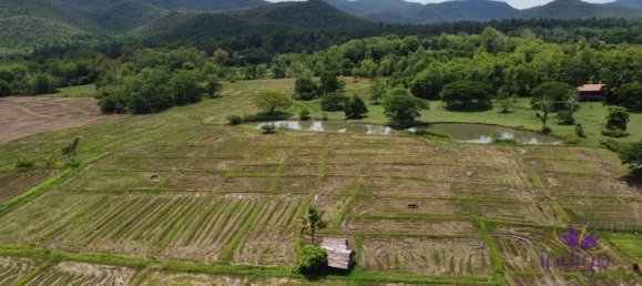  Land in Chiang Mai, Thailand No. 11456 6