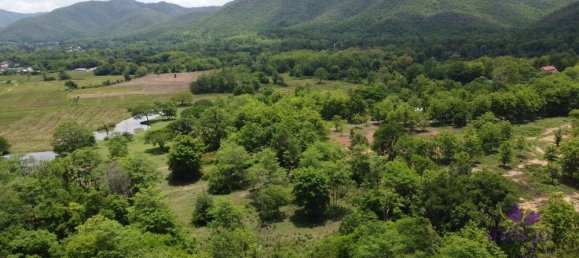  Land in Chiang Mai, Thailand No. 11456 5