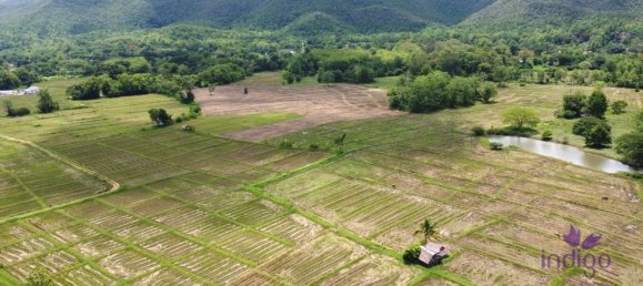  Land in Chiang Mai, Thailand No. 11456 2