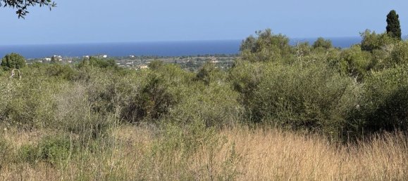 5 bedrooms House in Sant Llorenc Des Cardassar, Spain No. 162539 2