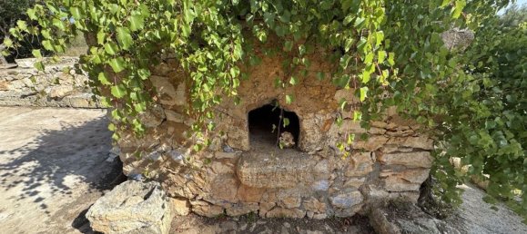 5 bedrooms House in Sant Llorenc Des Cardassar, Spain No. 162539 21