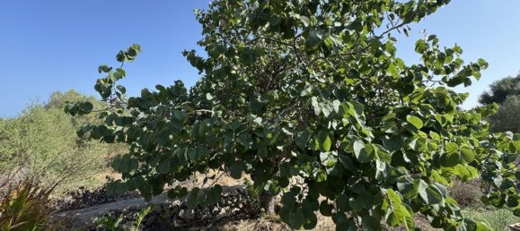 5 bedrooms House in Sant Llorenc Des Cardassar, Spain No. 162539 23