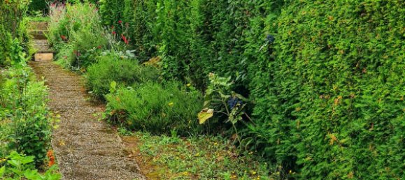 4 bedrooms House in Neuwied, Germany No. 243249 35