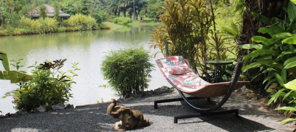 2 bedrooms Cafe / restaurant in Chiang Mai, Thailand No. 12870 30