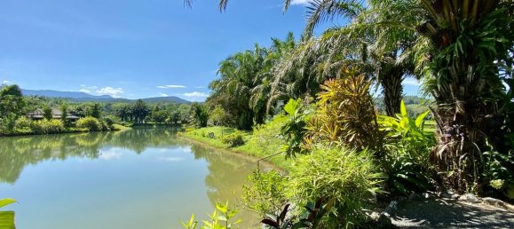 2 bedrooms Cafe / restaurant in Chiang Mai, Thailand No. 12870 29