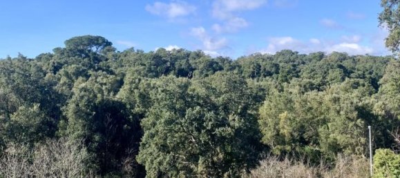 5غرفة فيلا في Calangianus, Italy رقم 232273 33