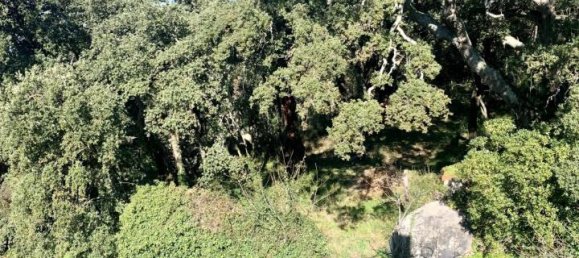 5غرفة فيلا في Calangianus, Italy رقم 232273 34