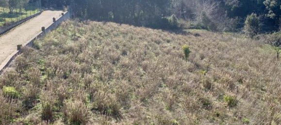 5غرفة فيلا في Calangianus, Italy رقم 232273 31