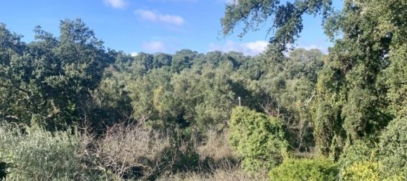 5غرفة فيلا في Calangianus, Italy رقم 232273 37