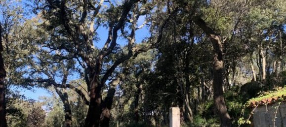 5غرفة فيلا في Calangianus, Italy رقم 232273 36