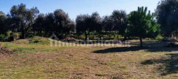 Grundstück in Luni, Italy 1642m², Nr. 370909 2