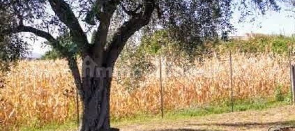 Grundstück in Luni, Italy 1642m², Nr. 370909 3