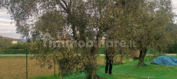 Grundstück in Luni, Italy 1642m², Nr. 370909 7