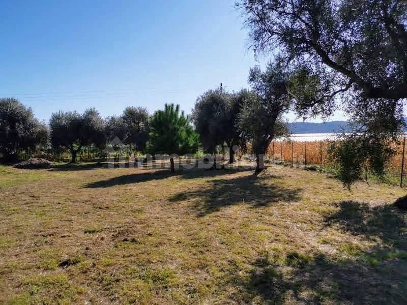 Grundstück in Luni, Italy 1642m², Nr. 370909