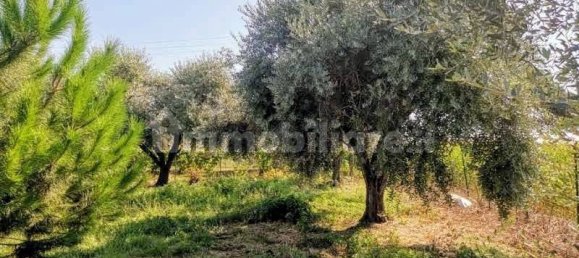 Grundstück in Luni, Italy 1642m², Nr. 370909 4