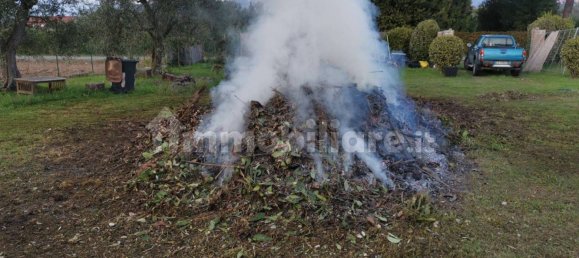 Grundstück in Luni, Italy 1642m², Nr. 370909 5