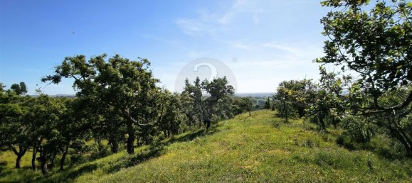  قطعة أرض في Santiago do Cacem, Portugal 119500متر مربع رقم 92689 11