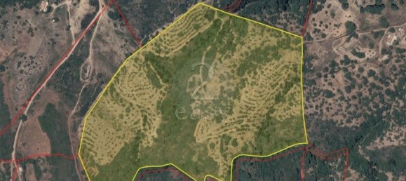  قطعة أرض في Santiago do Cacem, Portugal 119500متر مربع رقم 92689 14