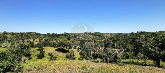  قطعة أرض في Santiago do Cacem, Portugal 119500متر مربع رقم 92689 3