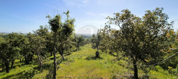  قطعة أرض في Santiago do Cacem, Portugal 119500متر مربع رقم 92689 7