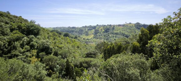  قطعة أرض في Santiago do Cacem, Portugal 119500متر مربع رقم 92689 4