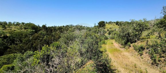  قطعة أرض في Santiago do Cacem, Portugal 119500متر مربع رقم 92689 8