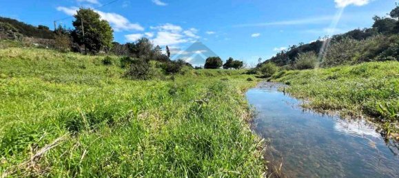 3 Schlafzimmer Gebäude in Mexilhoeira Grande, Portugal, Nr. 198096 48