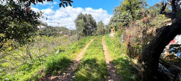 3 Schlafzimmer Gebäude in Mexilhoeira Grande, Portugal, Nr. 198096 31