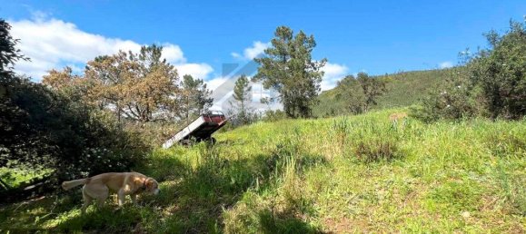 3 Schlafzimmer Gebäude in Mexilhoeira Grande, Portugal, Nr. 198096 30