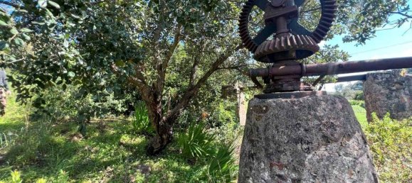 3 Schlafzimmer Gebäude in Mexilhoeira Grande, Portugal, Nr. 198096 37