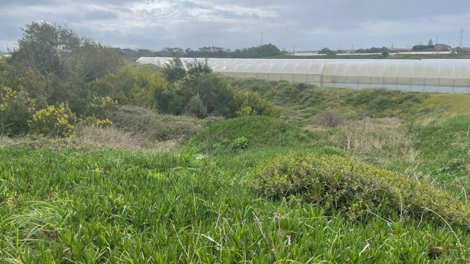  Land in Povoa de Varzim, Portugal No. 57837