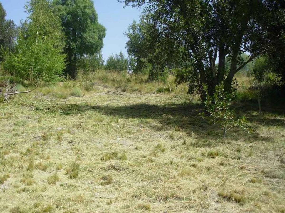  Land in Neuquen, Argentina No. 48853