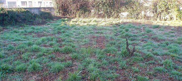 2 Schlafzimmer Haus in Santa Maria da Feira, Portugal, Nr. 37087 23