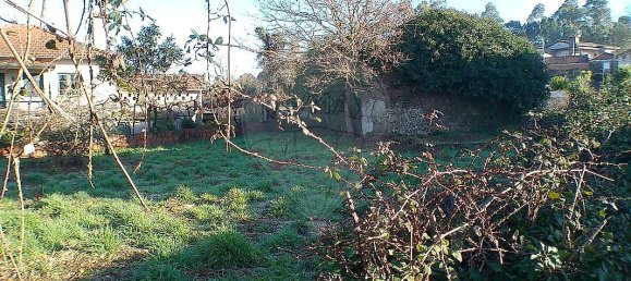 2 Schlafzimmer Haus in Santa Maria da Feira, Portugal, Nr. 37087 13